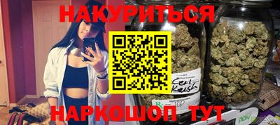 apvp Кингисепп