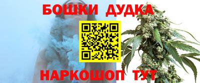 apvp Кингисепп