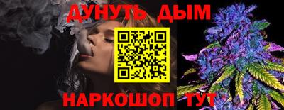 apvp Кингисепп