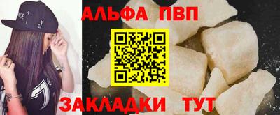 apvp Кингисепп