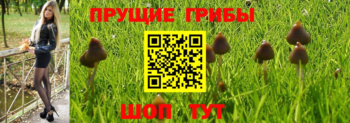 Псилоцибиновые грибы прущие грибы  Вход с VPN  Лабинск 