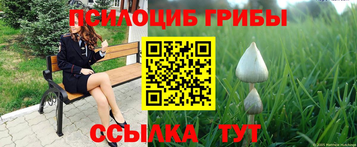 Псилоцибиновые грибы ЛСД Лабинск